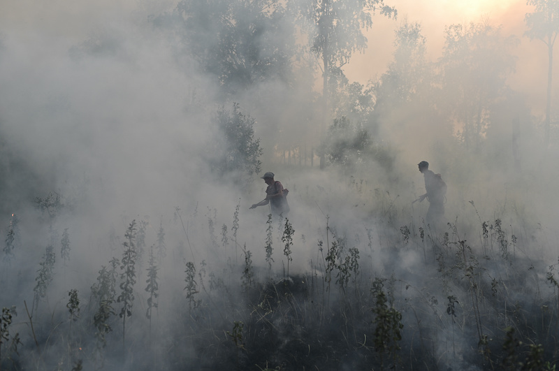 El cambio climático contribuyó a algunos de los peores eventos meteorológicos de 2020