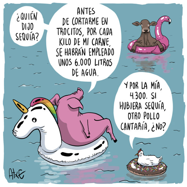 Carne de agua