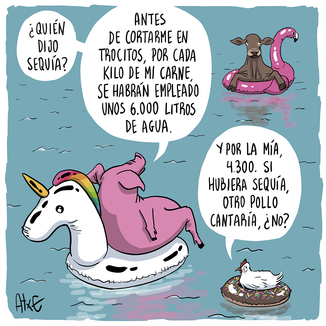 Carne de agua