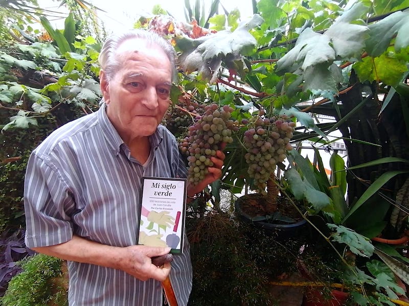 Joan Carulla, el pionero del ‘tejado verde’ que anima a cultivar: «Lo agradecerán su estómago, sus pulmones y su estado de ánimo»