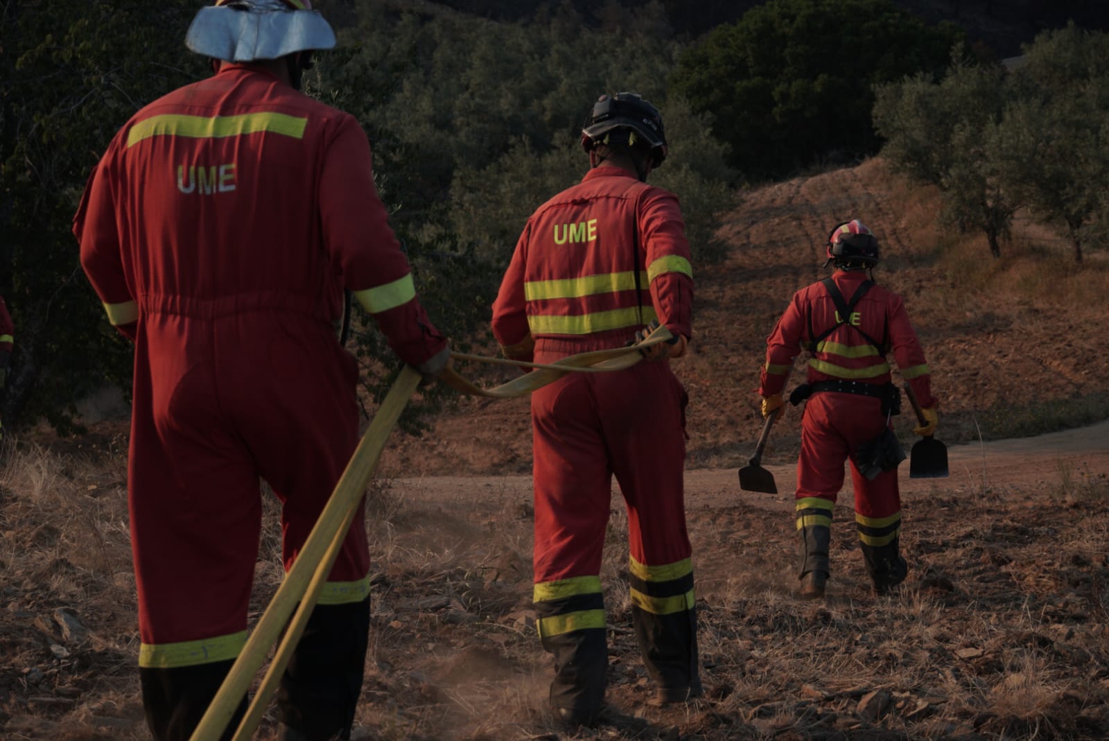 El mayo más afectado por los incendios forestales, entre las noticias de este lunes