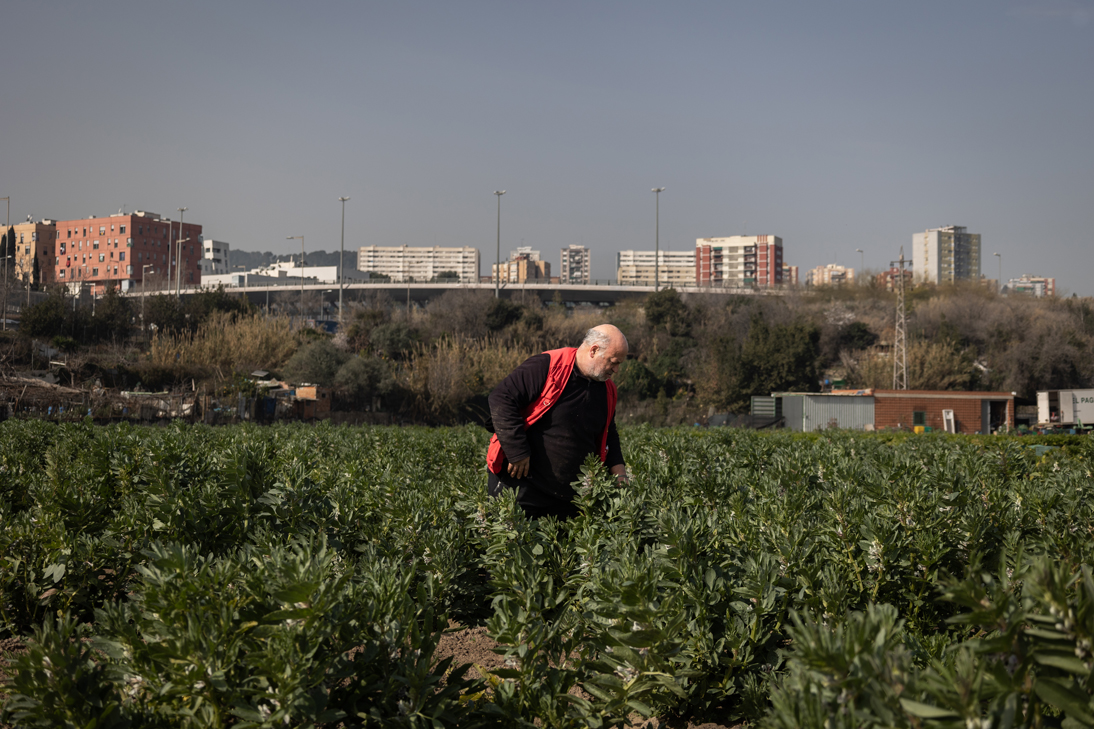 El último campesino de Barcelona