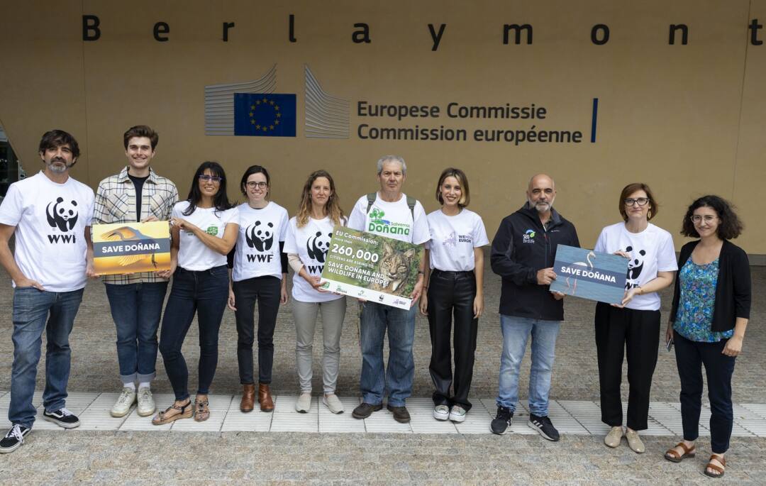 Ecologistas piden a la UE que presione para salvar Doñana, entre las noticias de este jueves