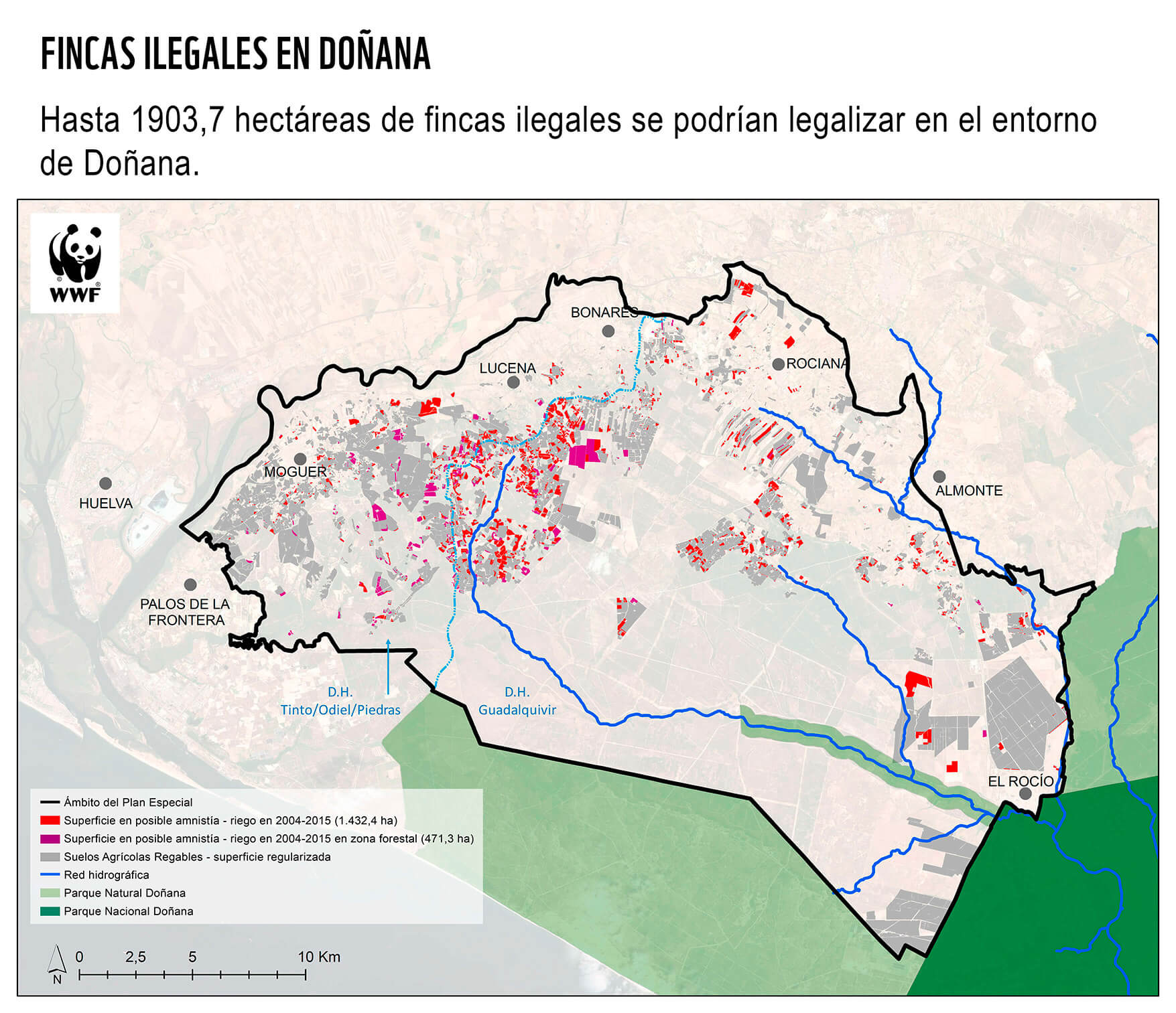 WWF cifra en 1.903 las hectáreas que se pretenden regularizar en Doñana, entre las noticias de este jueves