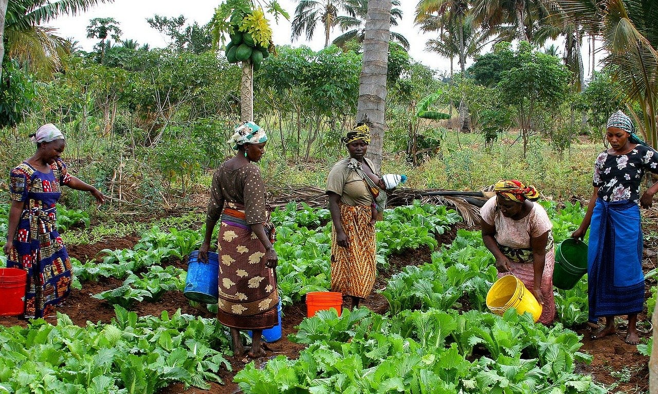 La crisis climática entorpece la toma de decisiones de las mujeres
