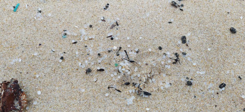 Denuncian inacción ante la aparición de pellets de plástico en playas de Galicia