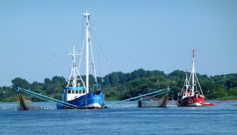 Cerca del 75% de la pesca industrial mundial no se rastrea