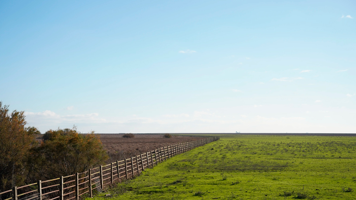 La Unión Europea, a un paso de la Ley sobre la Restauración de la Naturaleza