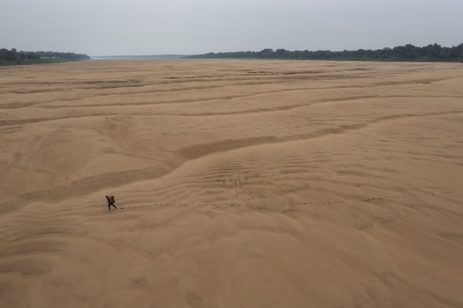 «Sequía en el Amazonas», de Lalo de Almeida (Brasil)