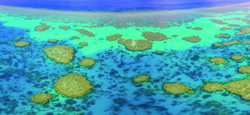 La Gran Barrera de Coral o el elefante en la habitación