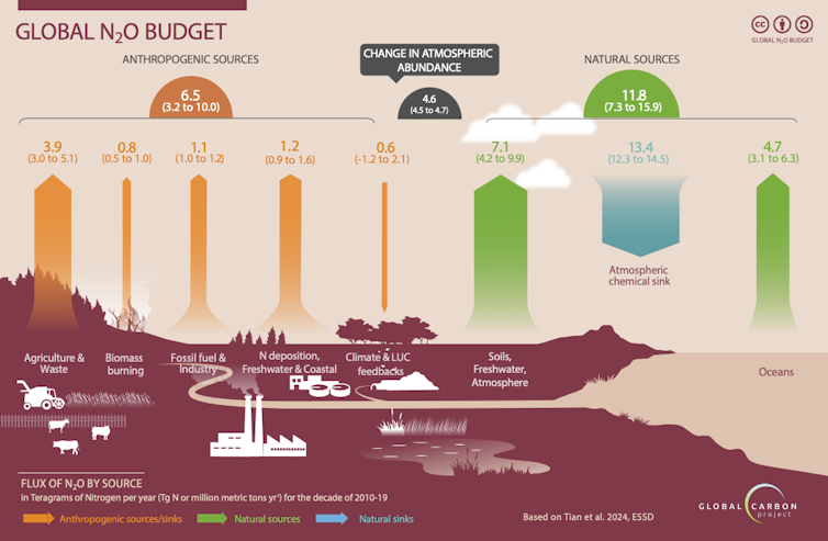 La ilustración del presupuesto mundial de N2O muestra las fuentes de emisiones