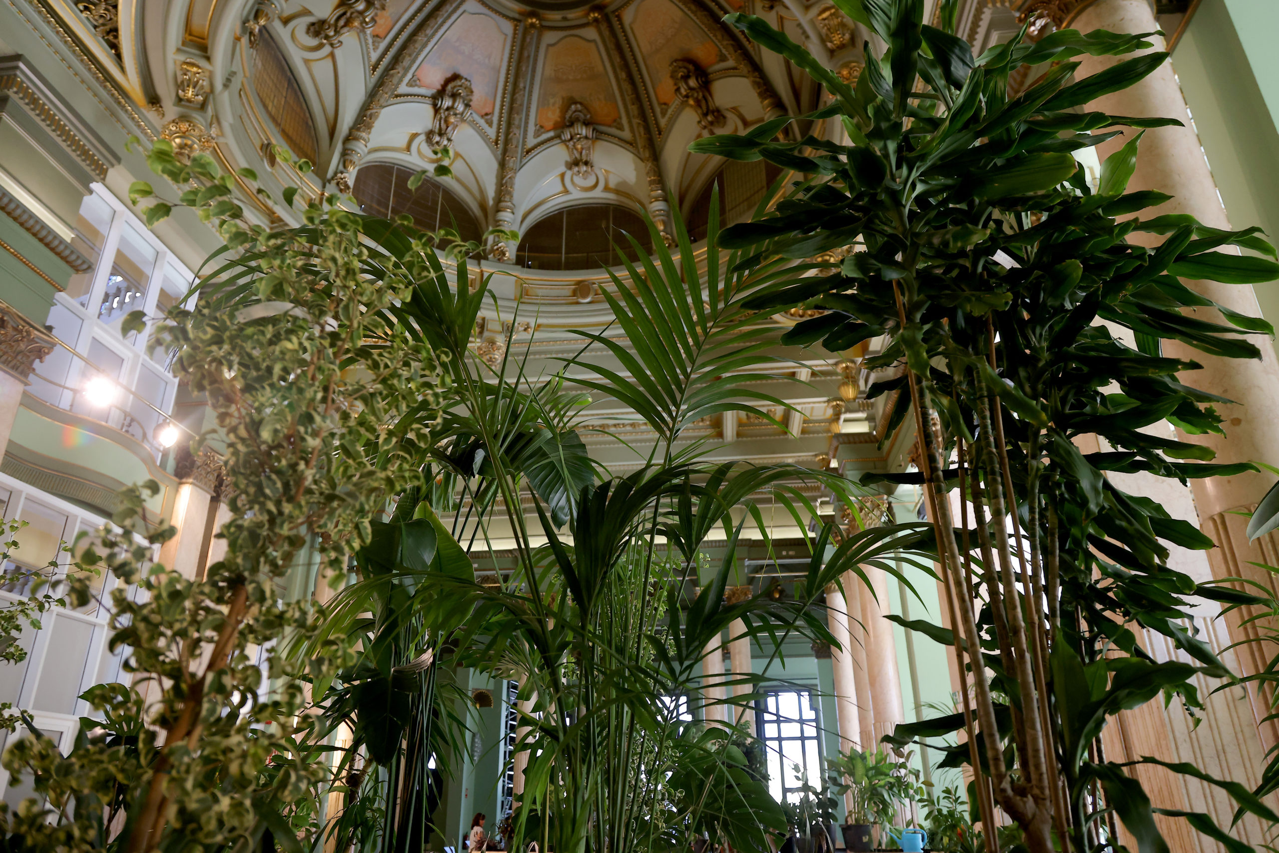 A la sombra del Círculo de Bellas Artes, un refugio climático en el centro de Madrid