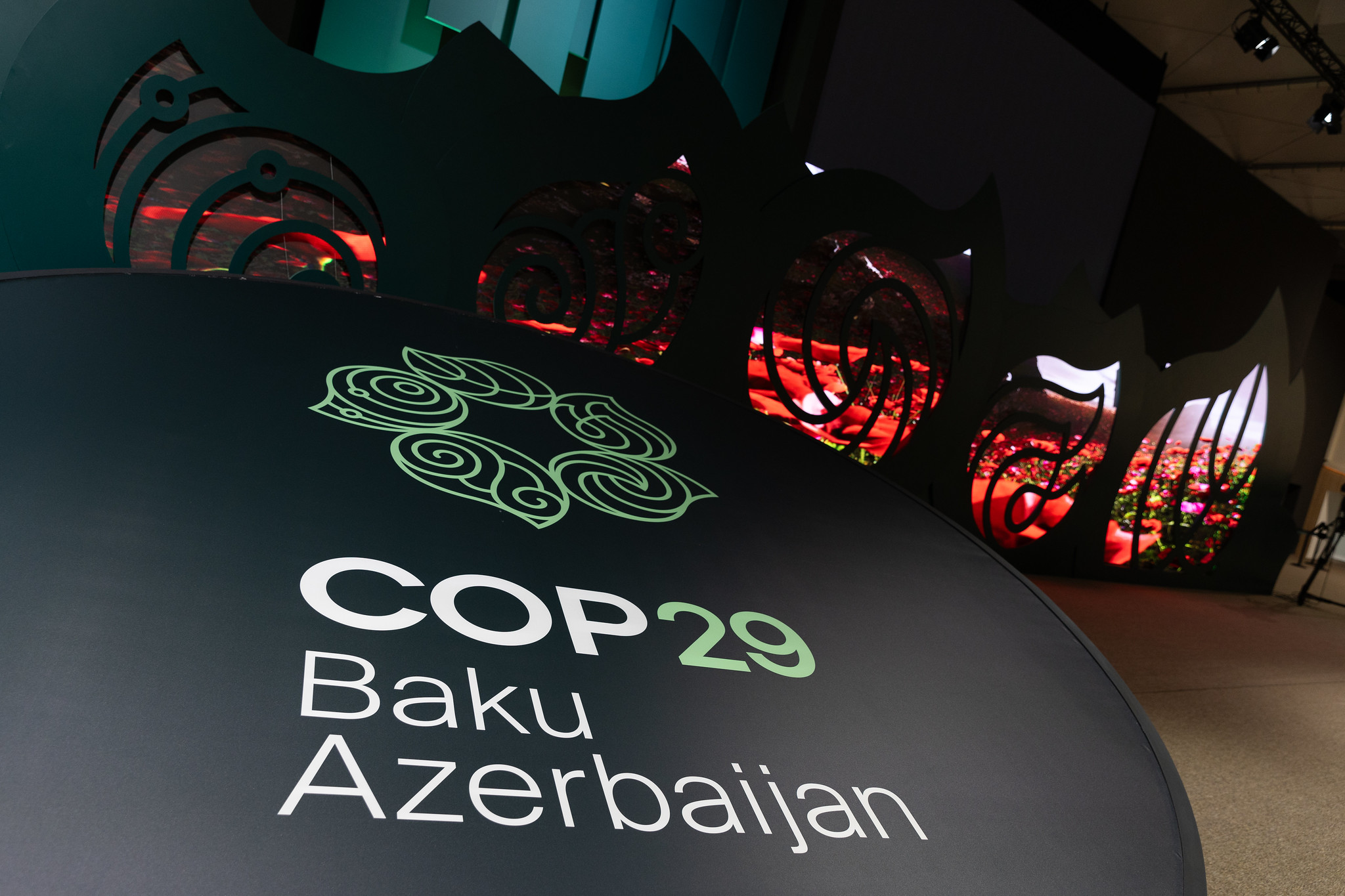 Diario de la COP29