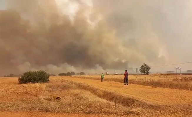 La primera ola de calor dispara el riesgo de incendios forestales en casi toda España