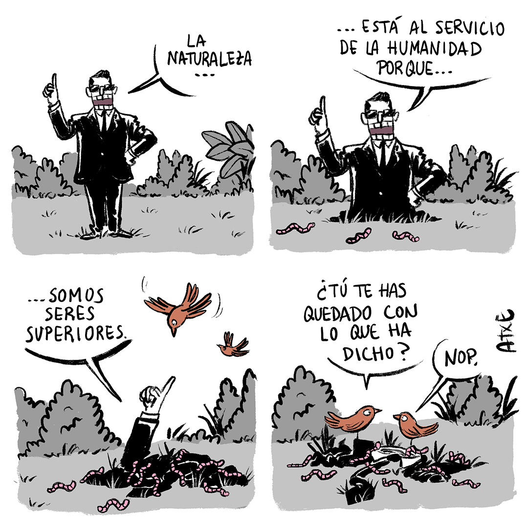 El ciclo de la vida