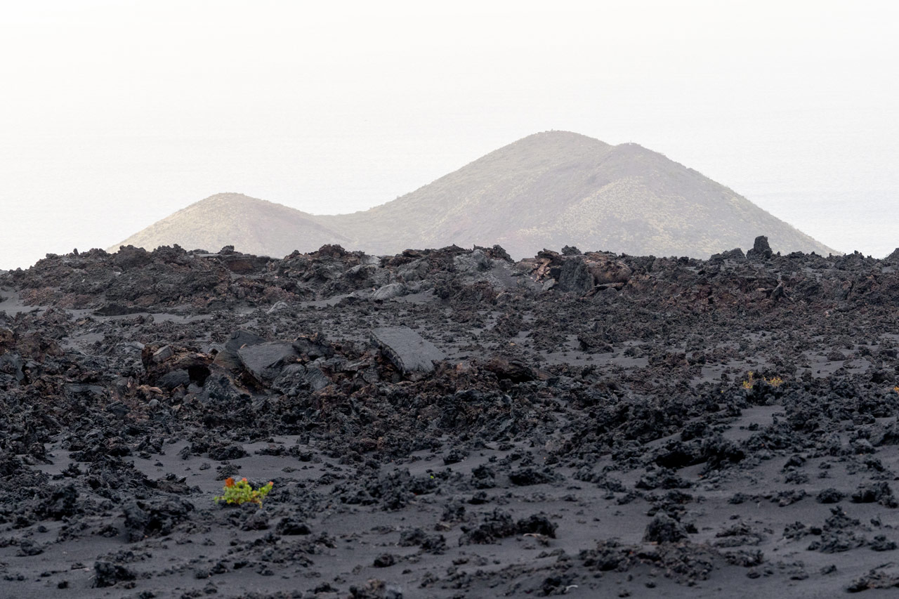 La Palma: Cultura y emergencia tras la erupción volcánica de 2021