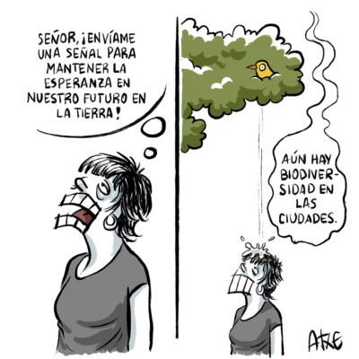 La señal