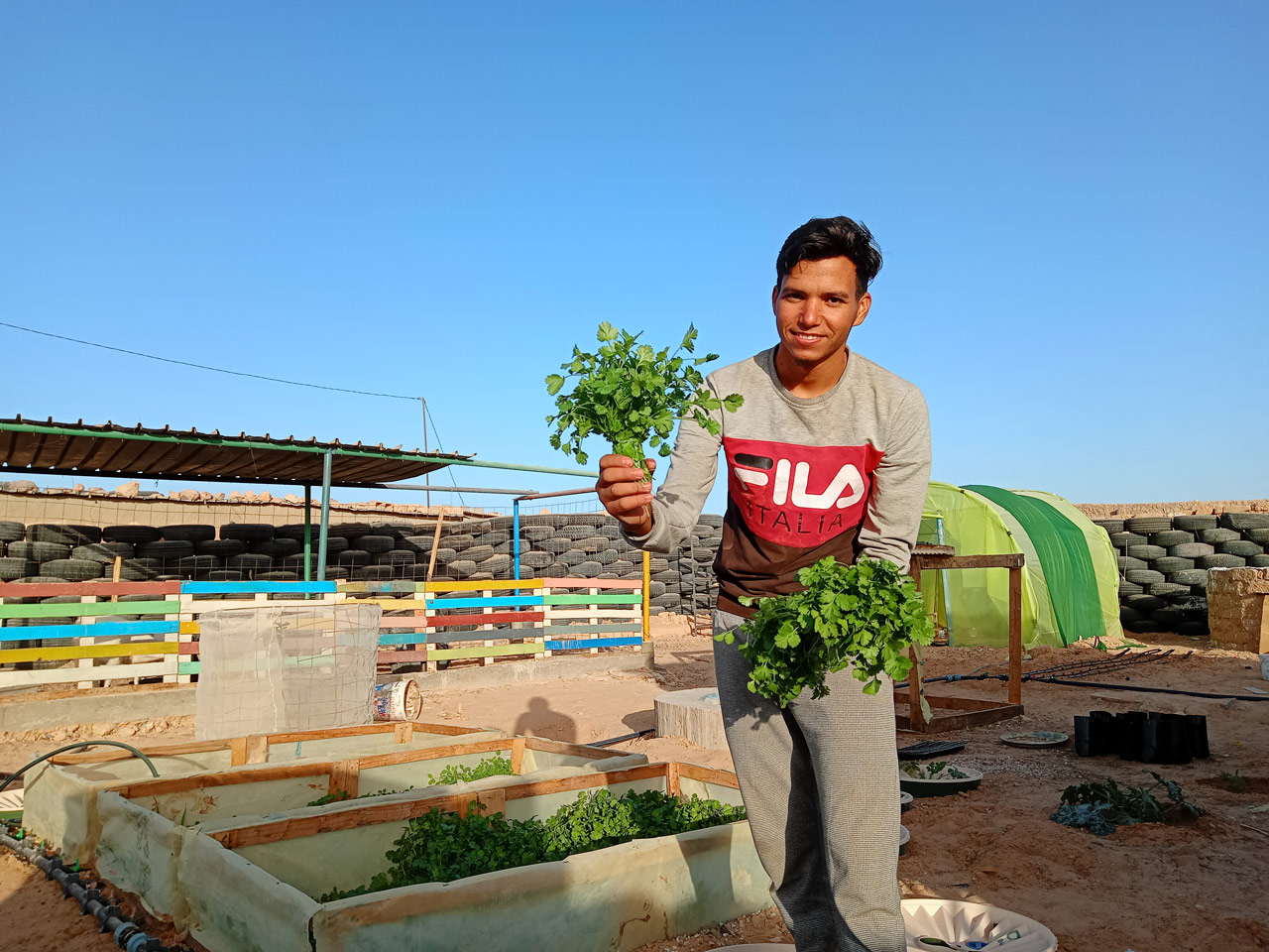 Un huerto en el desierto saharaui promueve la soberanía alimentaria y la innovación