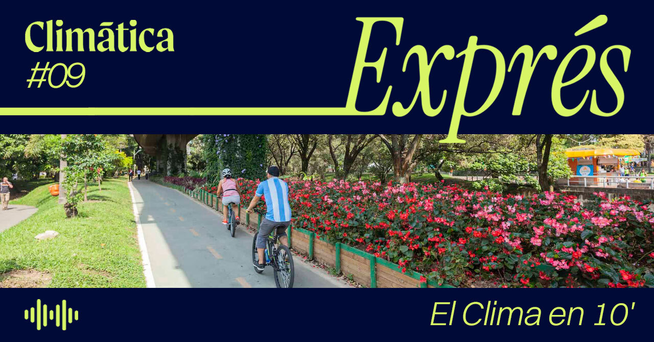 [PODCAST] «Climática Exprés»: ciudades sin zonas verdes, el Mundial del estrés térmico y la primera Bienal Climática