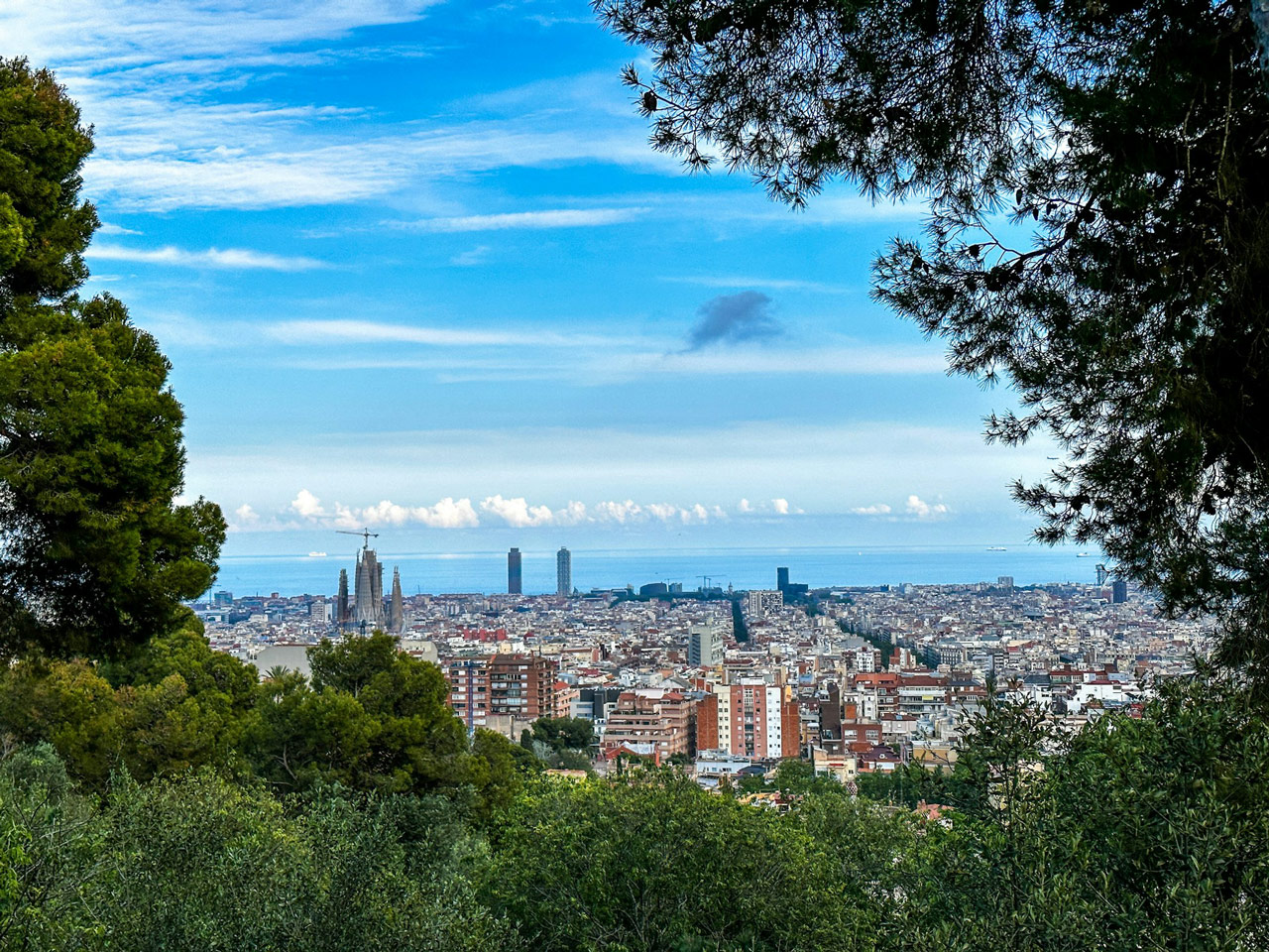 Más árboles y menos asfalto: ¿es la vegetación la herramienta que necesitamos para refrescar nuestras ciudades?