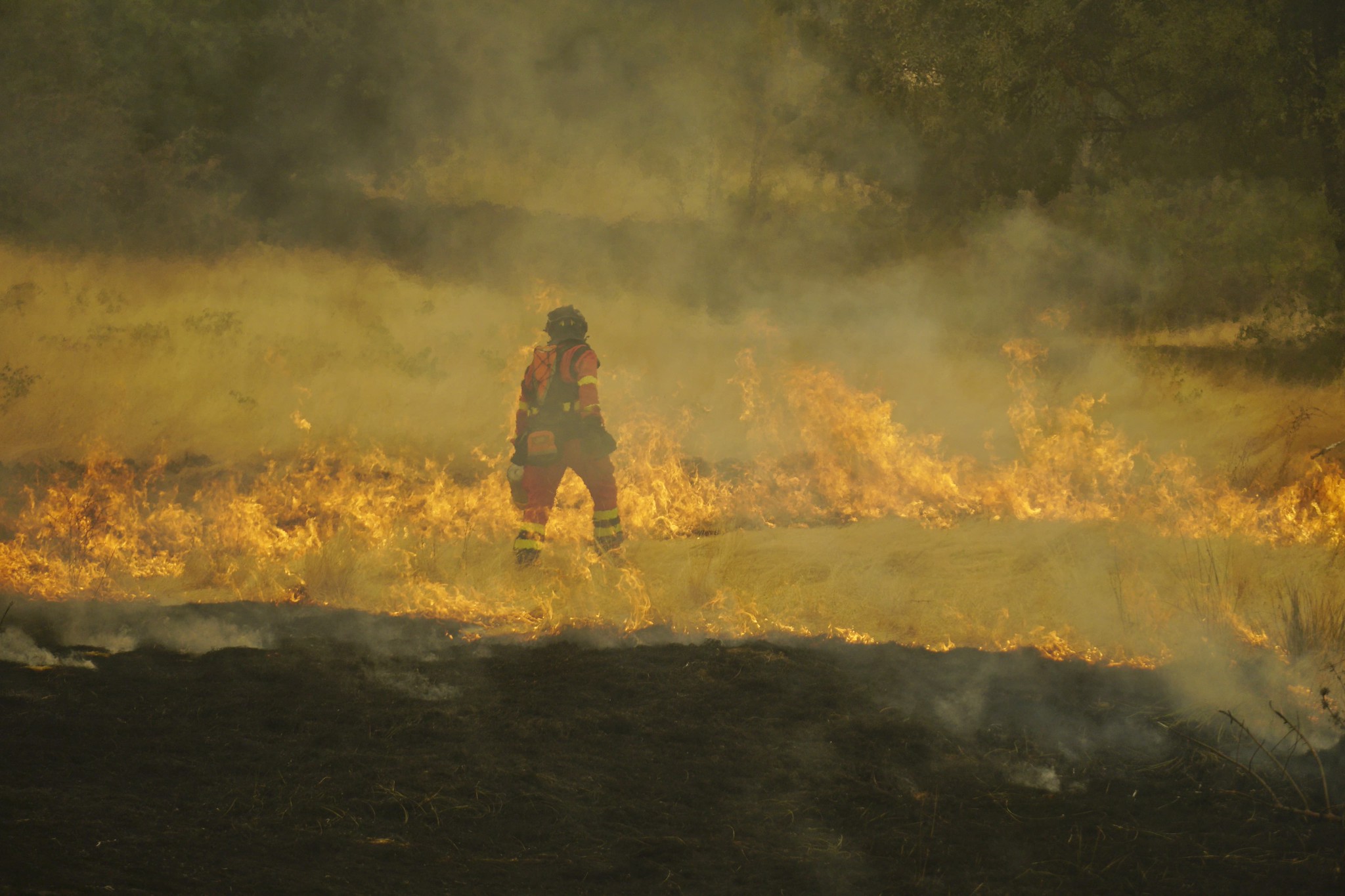 Cuarta ola de calor del verano a partir del miércoles mientras ya han ardido más de 200.000 hectáreas