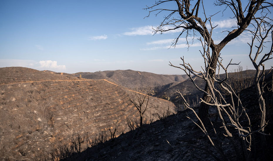 Las claves del peor incendio de la historia de Andalucía