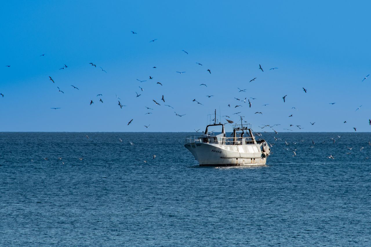 El falso dilema de la pesca: descarbonizar la flota no exige aumentar su capacidad