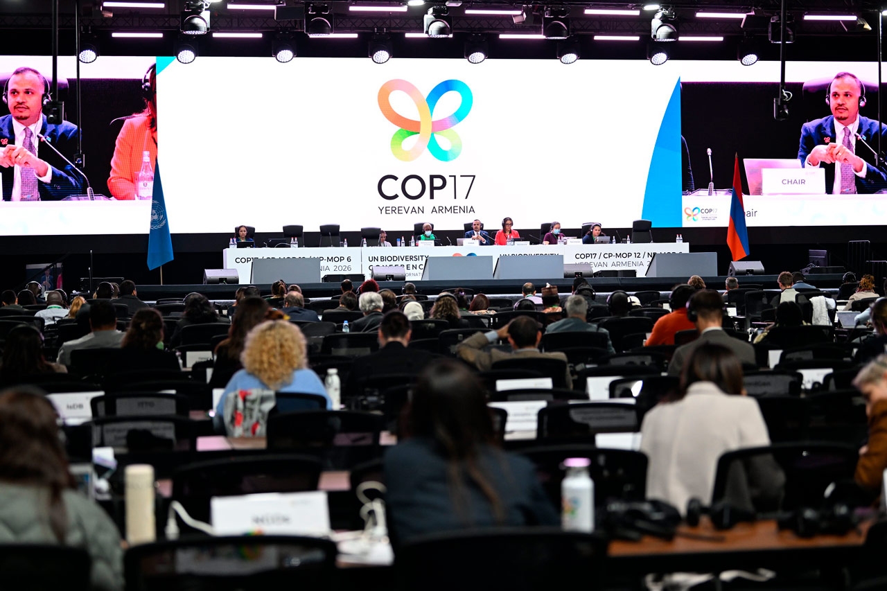 COP17: cuenta atrás para salvar los objetivos de biodiversidad