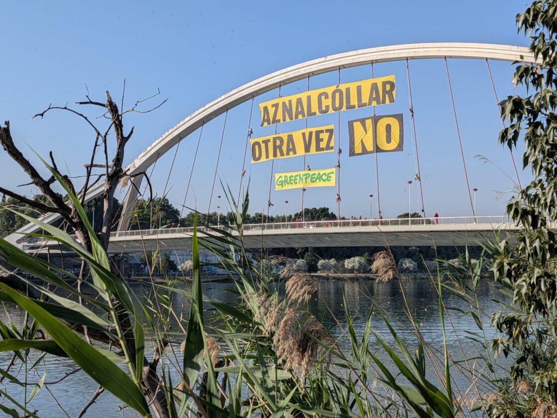 Diversos colectivos se manifestarán en Sevilla contra los vertidos mineros al Guadalquivir
